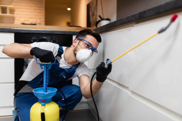 Best Bed Bug Extermination  in West Mountain, UT