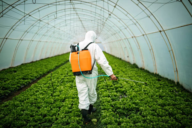 Best Affordable Pest Control Services  in West Mountain, UT