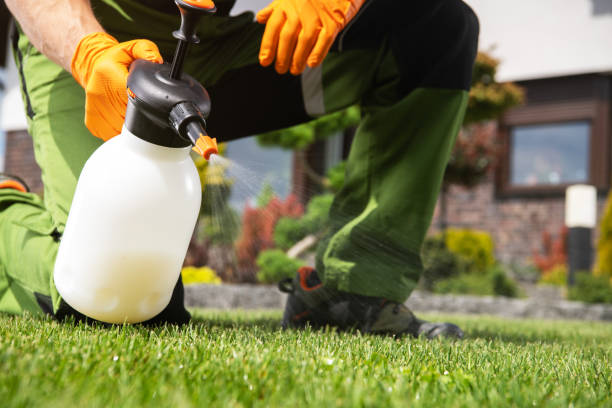 Best Ant Control Services  in West Mountain, UT