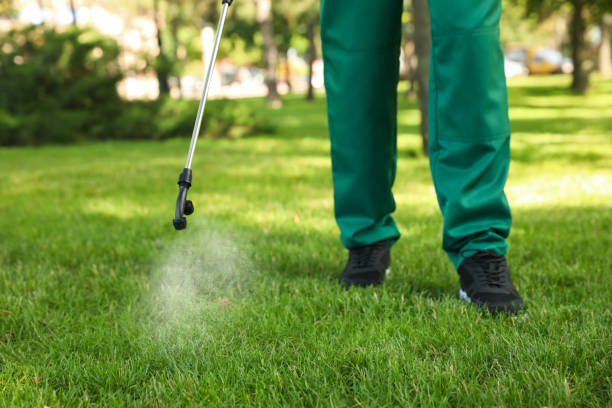 Best Pest Control Cost  in West Mountain, UT