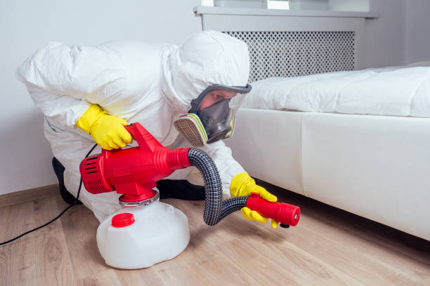 Trusted West Mountain, UT Pest Control Experts