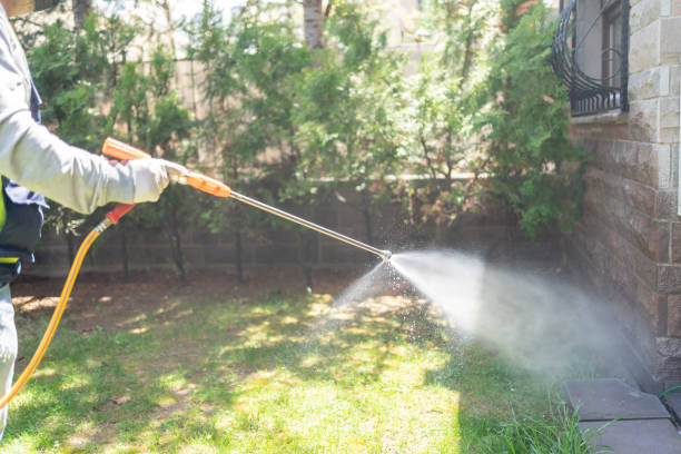 Best Pest Inspection Near Me  in West Mountain, UT