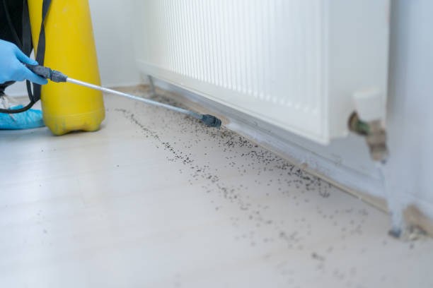 Best Cockroach Control Services  in West Mountain, UT