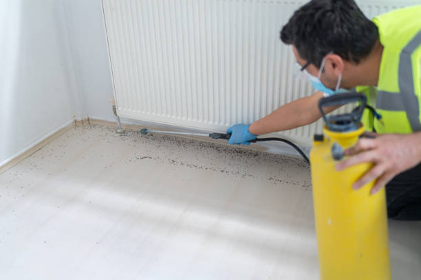 Best Pest Control Treatment  in West Mountain, UT