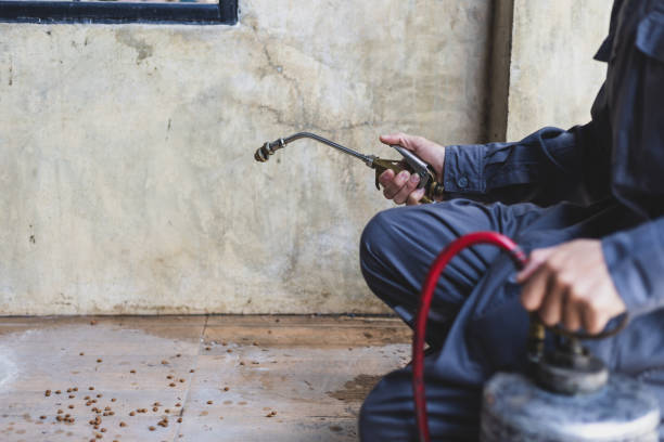 Best Pest Prevention Services  in West Mountain, UT